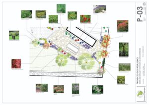 Estudio de paisajismo