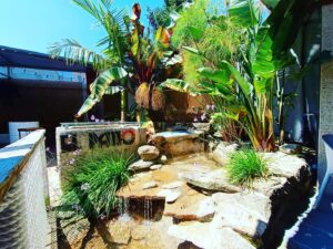 Jardín el patio