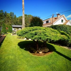 jardín vivienda particular en Seixo