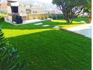 jardín vivienda particular en vigo