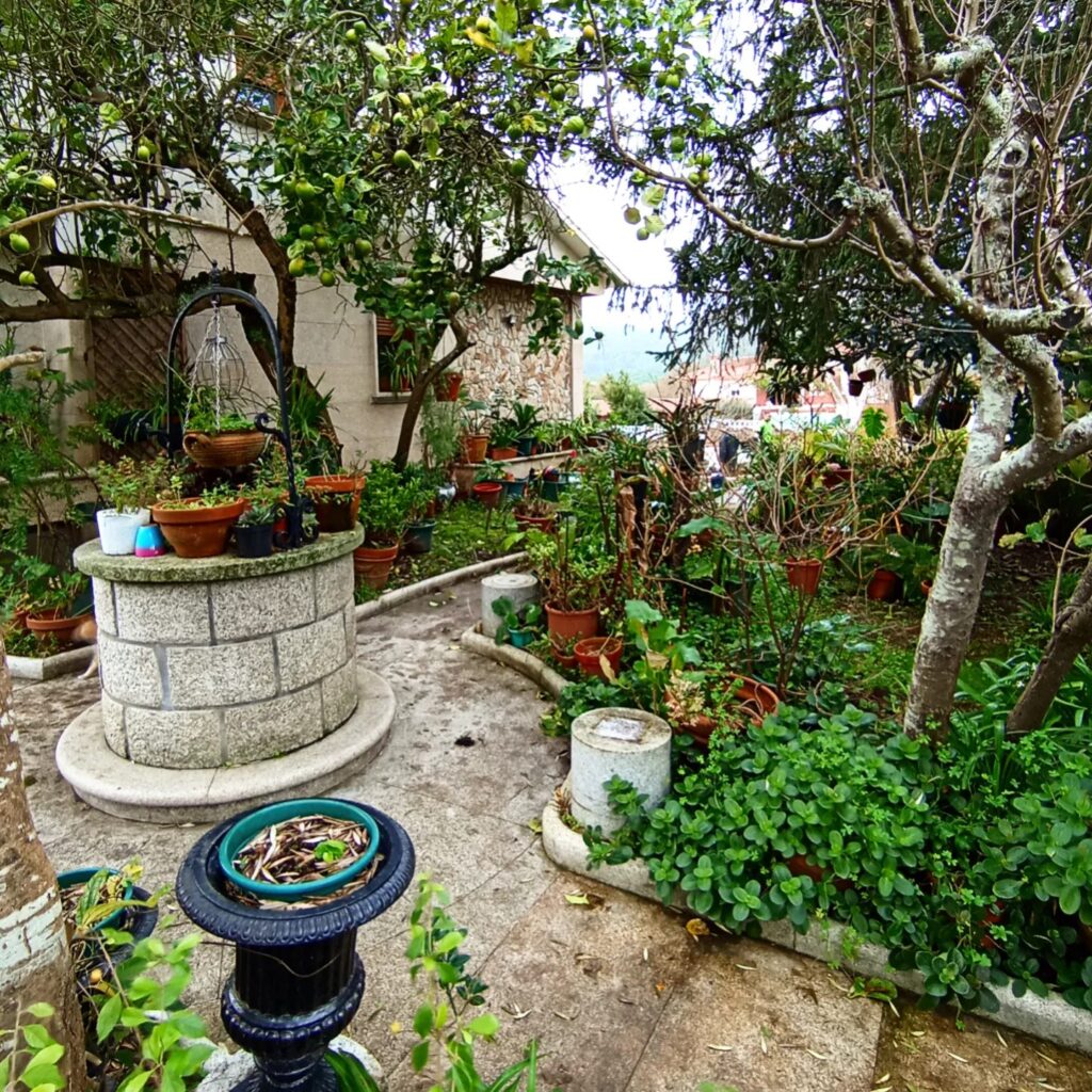 jardín vivienda particular en Nerga